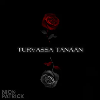 Turvassa tänään by Nico Patrick