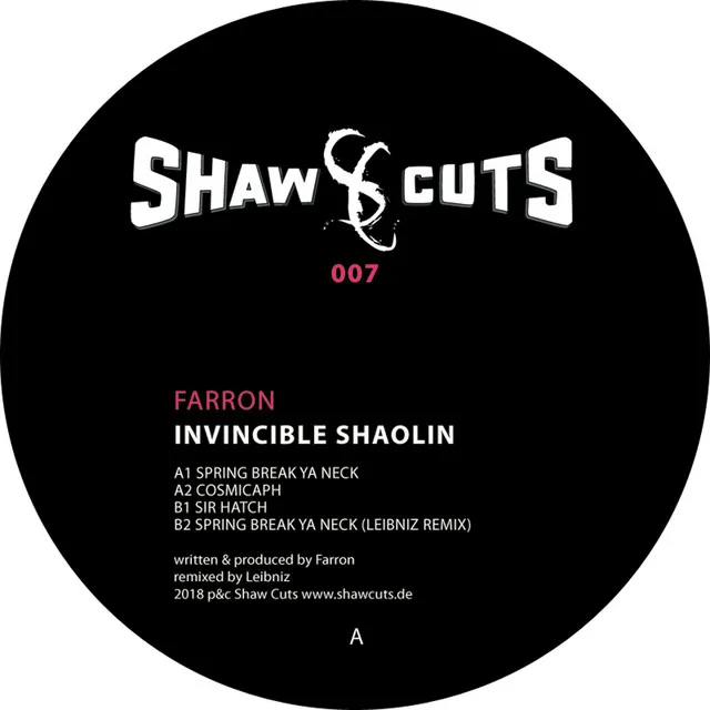 Invincible Shaolin