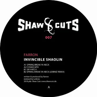 Invincible Shaolin by Farron