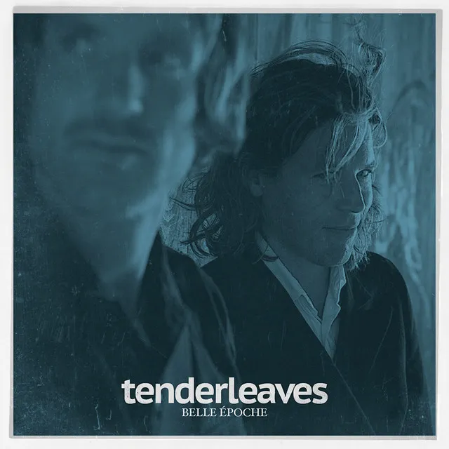 Tenderleaves