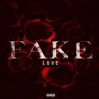 Fake Love by Soldiers