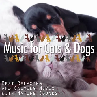 Music for Cats & Dogs: Best Relaxing and Calming Music with Nature Sounds by Dog Whisper