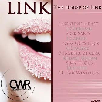 The House of Link by Link