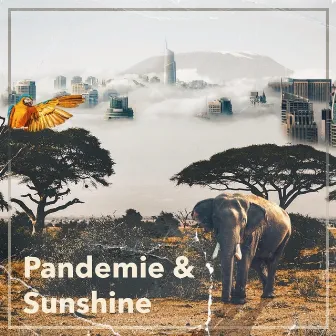 Pandemie & Sunshine by Dom Tilson