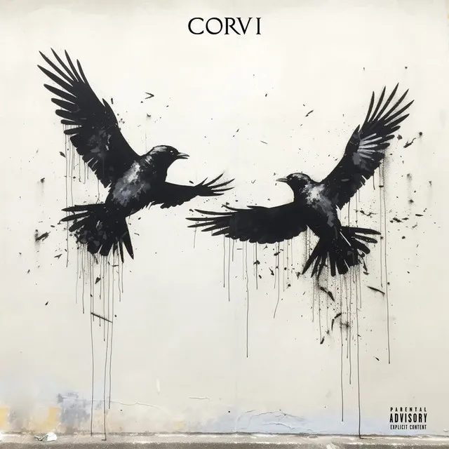 Corvi