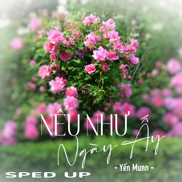 Nếu Như Ngày Ấy (MIA Remix) - Sped Up