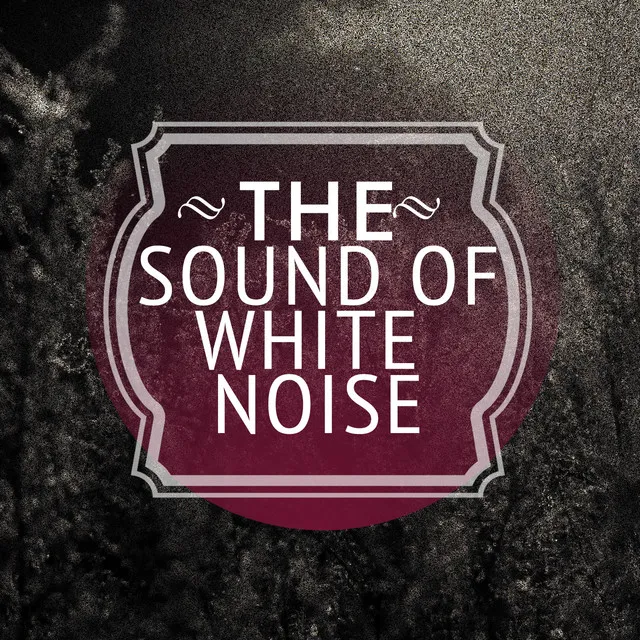 The Sound of White Noise