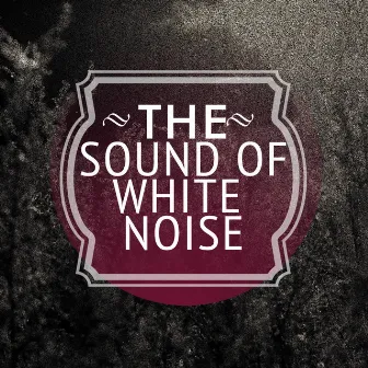 The Sound of White Noise by Unknown Artist