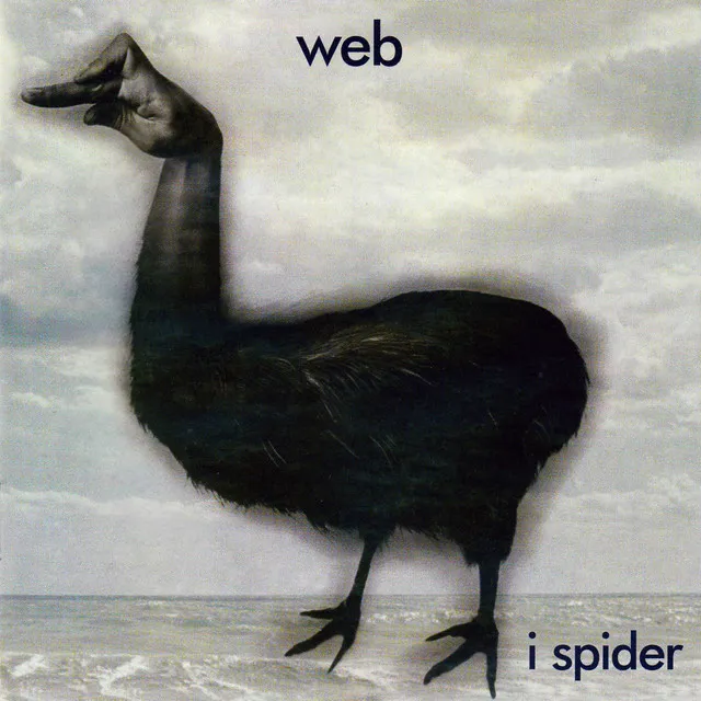 Web