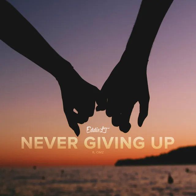 Never Giving Up - Radio Edit