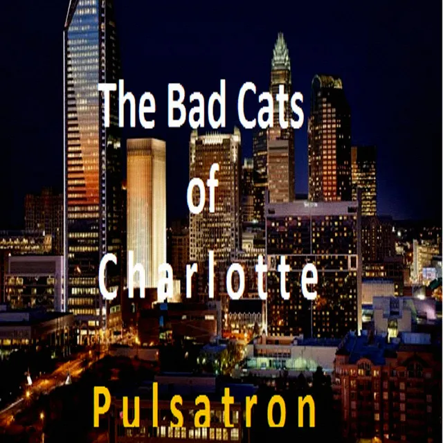 The Bad Cats of Charlotte