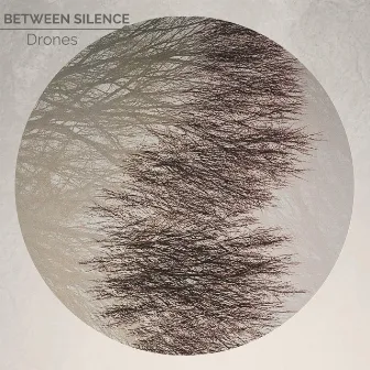 Drones by Between Silence