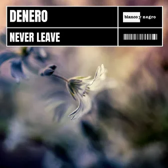 Never Leave by Denero