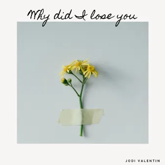 Why Did I Lose You by Jodi Valentin