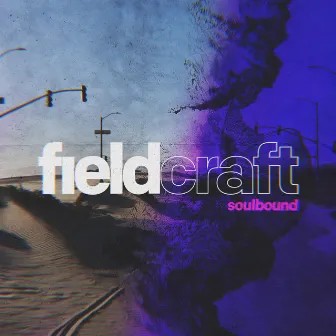 soulbound by fieldcraft