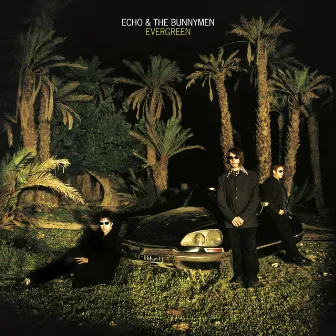 Evergreen (25 Year Anniversary Edition) by Echo & the Bunnymen