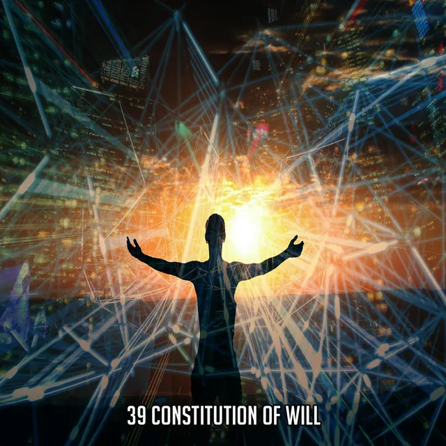 39 Constitution Of Will