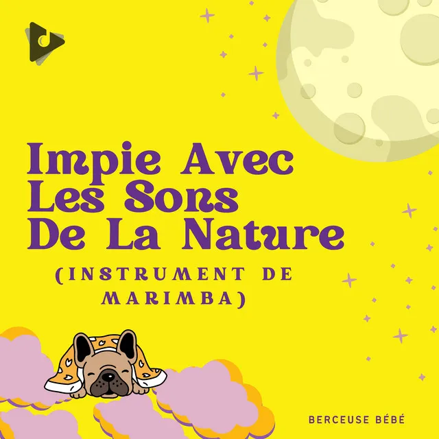 Impie Avec Les Sons De La Nature (Marimba Instrumental)