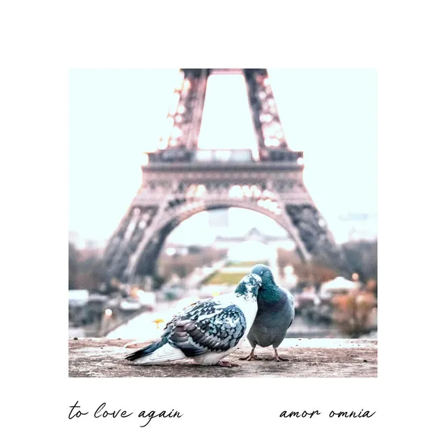 To Love Again