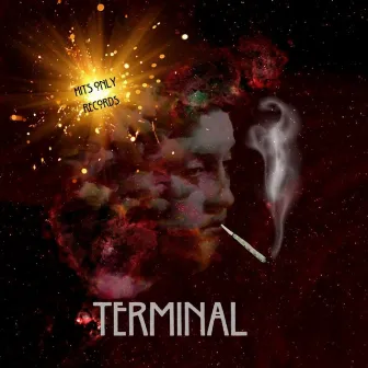 Terminal by Vicallday