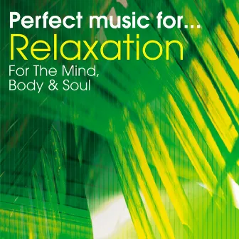 Perfect Music for Relaxation - Stress Relief for the Mind, Body & Soul by Perfect Relaxation