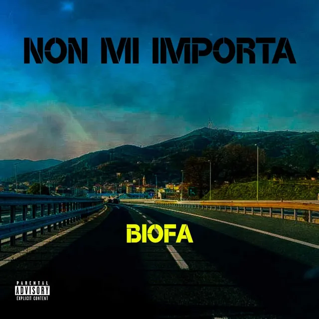 Non mi Importa