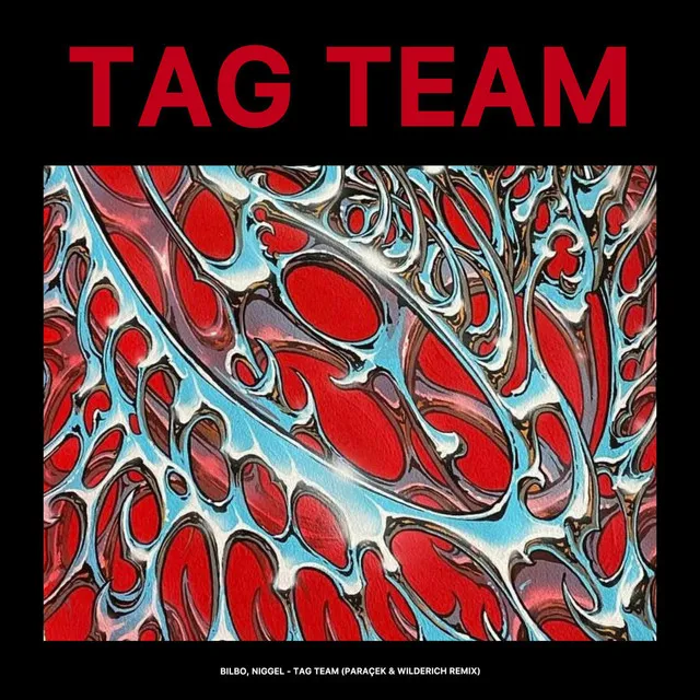 Tag Team - Radio Edit