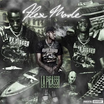 Flex Mode by LA Picasso