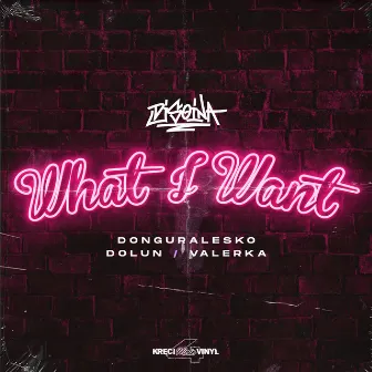 What I Want by Dj Soina