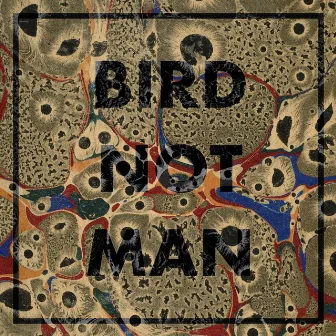 Bird Not Man by M.A BEAT!