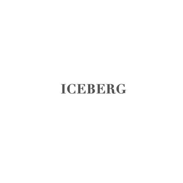 Iceberg