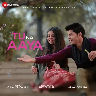 Tu Na Aaya by Ravi Singhal