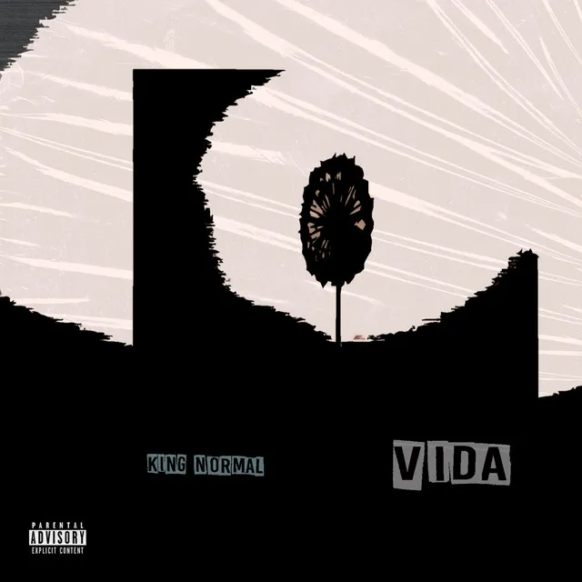 Vida