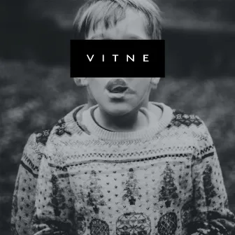 Vitne by Law