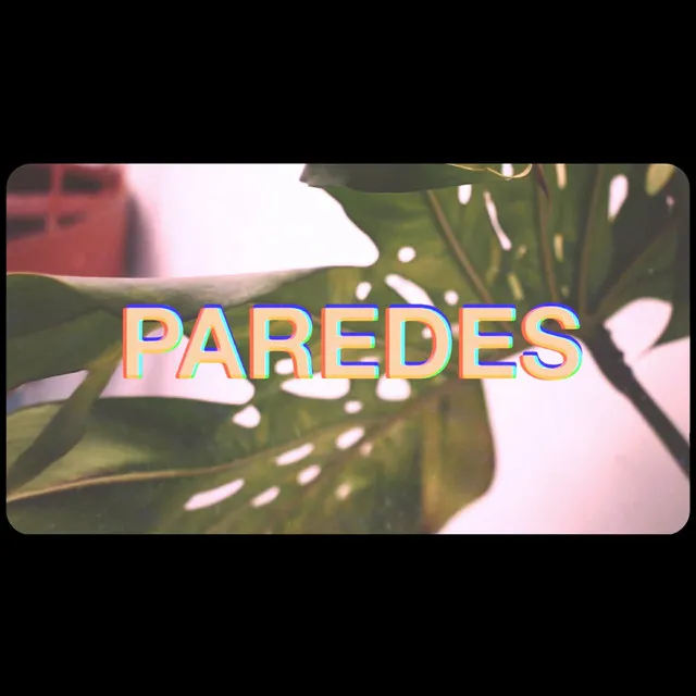 Paredes