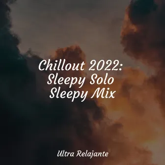 Chillout 2022: Sleepy Solo Sleepy Mix by Música relajante con sonidos de la naturaleza