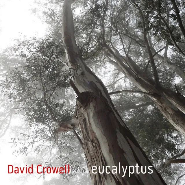 Eucalyptus