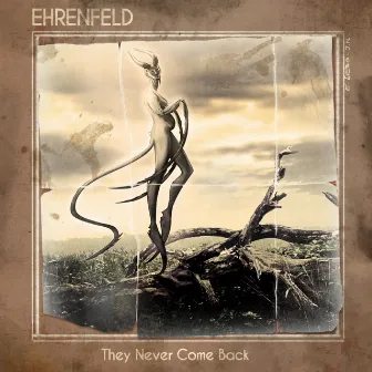 They Never Come Back by Ehrenfeld