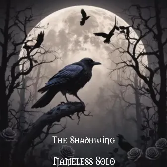 The Shadowing by Nameless Solo