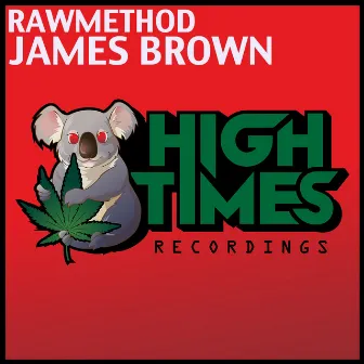 James Brown by Rawmethod