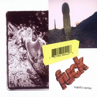 Cupid's Cactus by Fuck