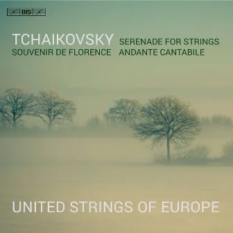 Tchaikovsky: Serenade for Strings in C Major, Op. 48, TH 48 & Other Works by Julian Azkoul