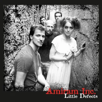 Little Defects by Amiram Eini