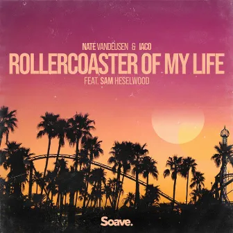 Rollercoaster Of My Life by Nate VanDeusen