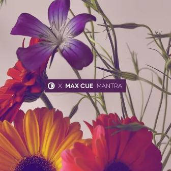 Mantra by Max Cue