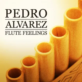 Pedro Alvarez - Flute Feelings by Pedro Alvarez