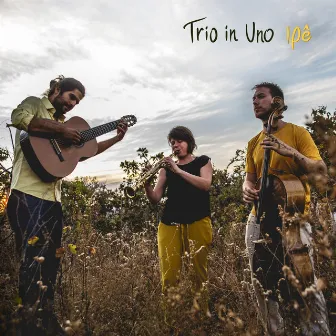 Ipê by Trio In Uno