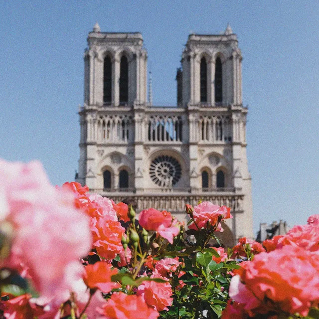 Falling in Love in Paris