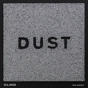 Dust by Unknown Artist