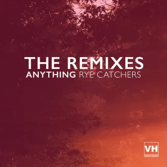 ANYTHING: THE REMIXES by Rye Catchers